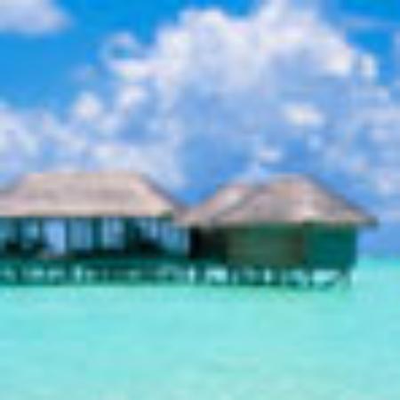 Seafood Izakaya Sapporo